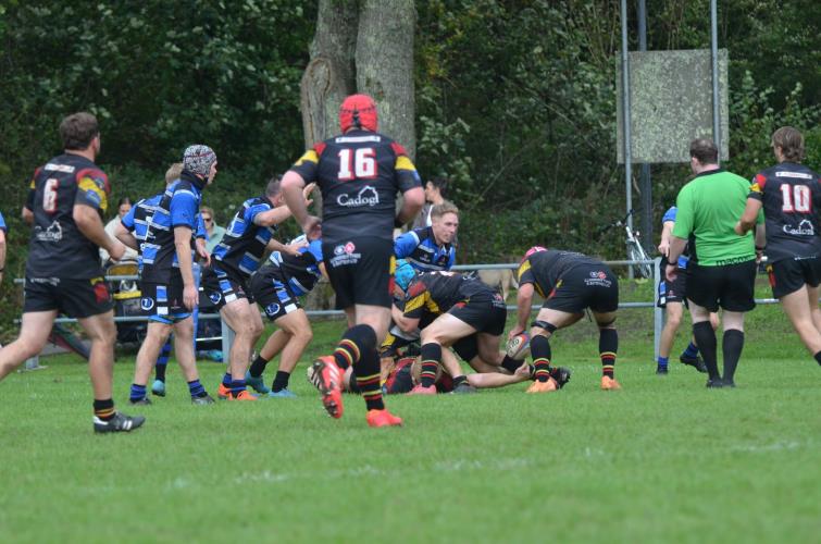  Action from Cardigan v Llangadog
